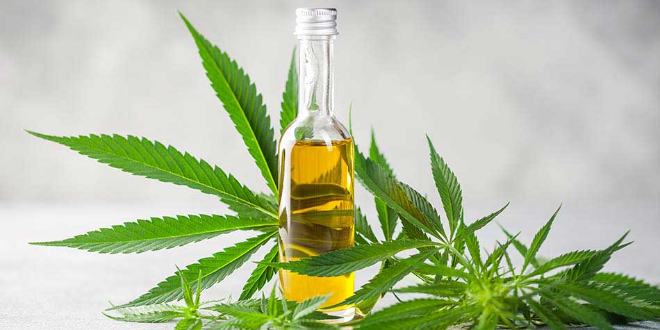 What is CBD and why are so many people using it? | Alaska Regional Hospital